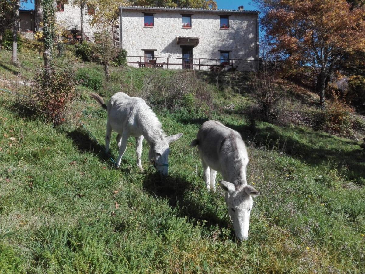 I Casali Del Buontempo Villa Buggiano Eksteriør bilde